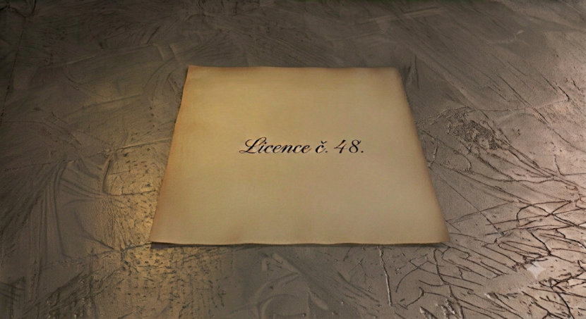 простая лицензия №48