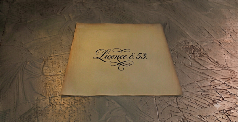 простая лицензия №55