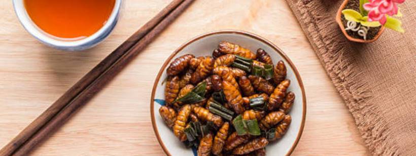 Насекомые, Сверчки