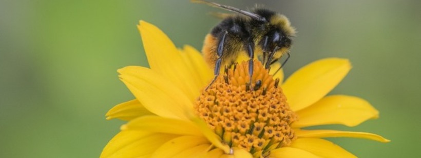 Баварское государственное министерство окружающей среды и защиты прав потребителей