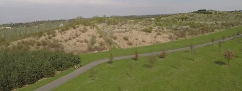 Дерево, Выбор 5SG