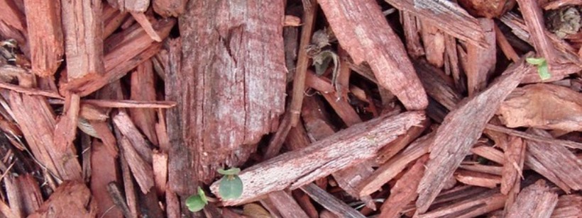 Термит, Мульча