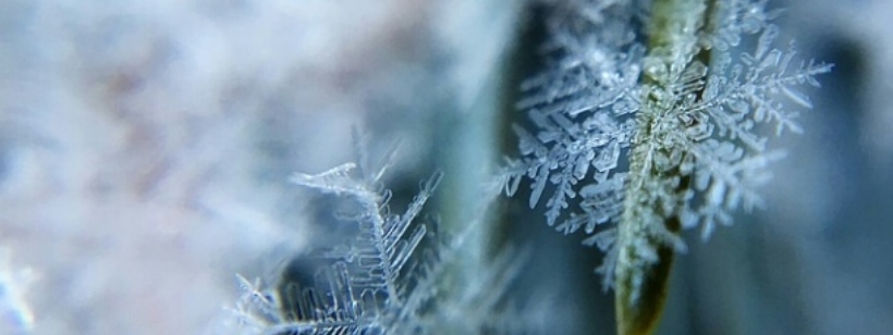 Солнечный термин