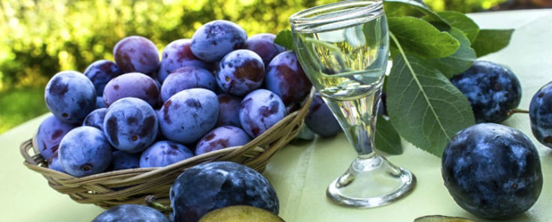 В Чехии в этом году собирают рекордный урожай фруктов