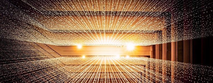 В Чехию приедет человек с чипом в руке