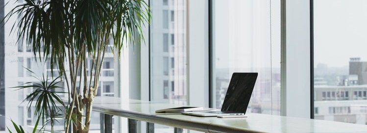 Количество виртуальных офисов в Праге стремительно увеличивается