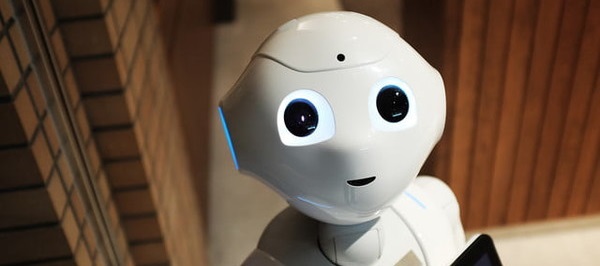 Сегодня маленькие жители Чехии будут приобщаться к науке