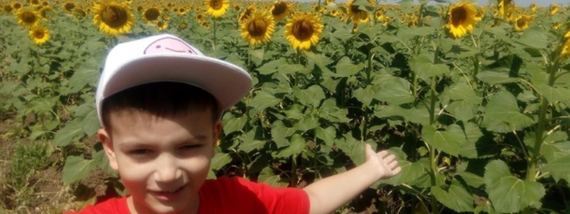 Товарный урожай