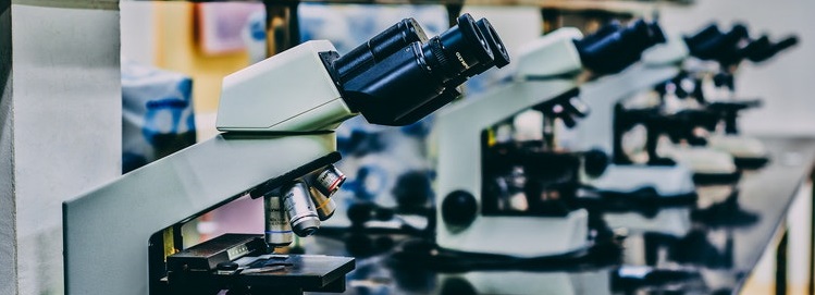 Специалисты из Карлова Университета в поисках новых методов лечения рака