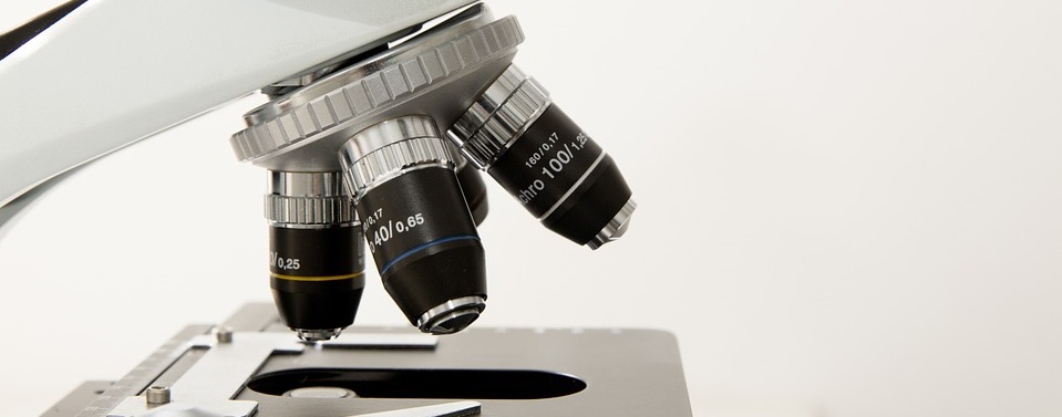 Ученые Чехии описали механизм доставки препаратов в клетки организма