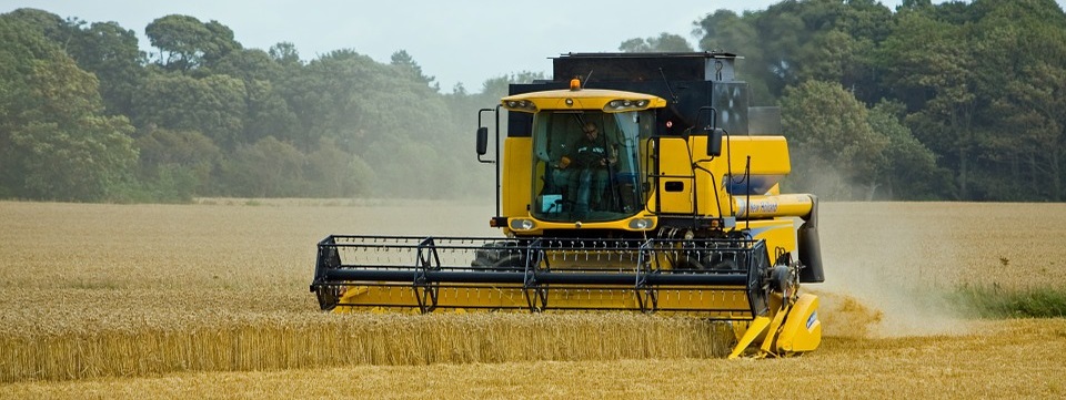 Уборка урожая