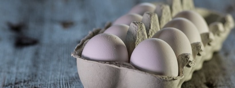 Яйцо, Куриное