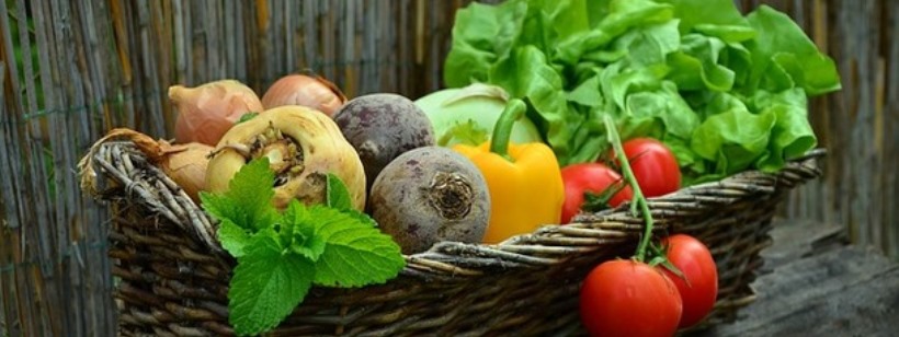 Сок из зеленых овощей