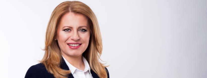 Словакия, Копенгагенский саммит демократии