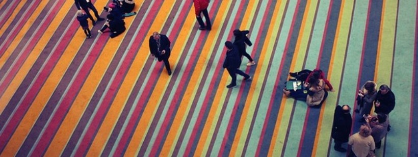 Общество, Социология