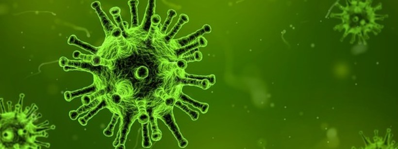 Вирус, Коронавирус