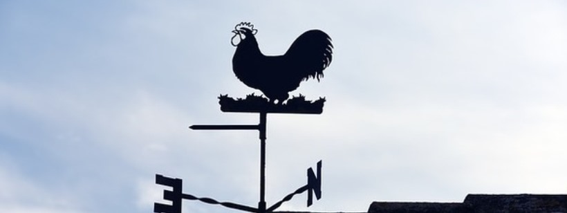 Флюгер, Курица