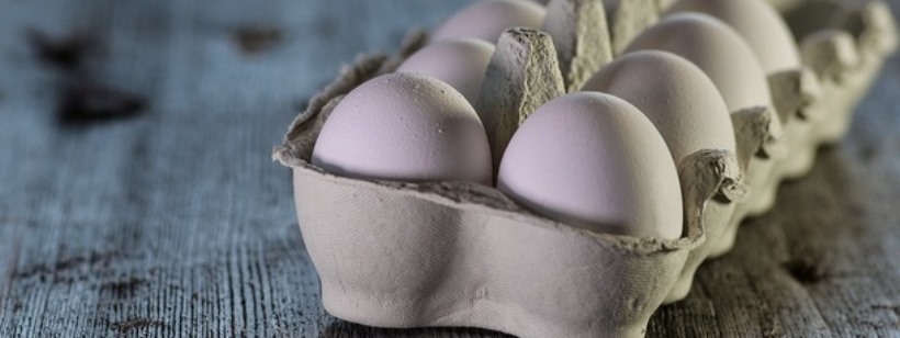 Яйцо, Яйцо