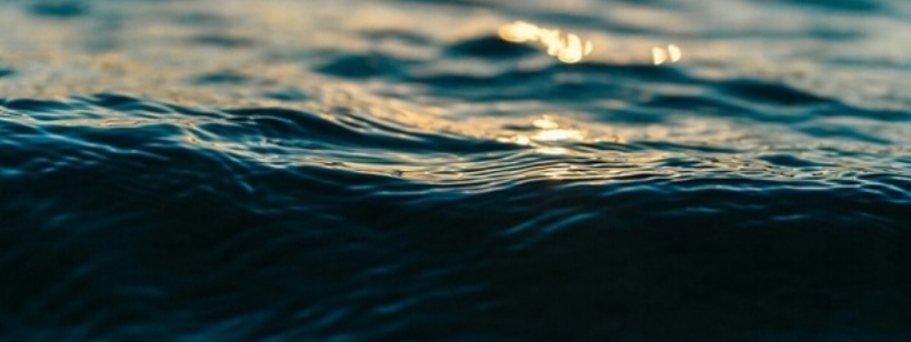 Основная среда обитания рыб