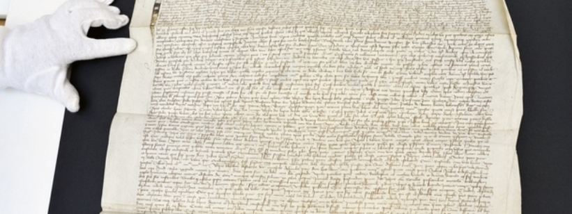 Документ, Текст