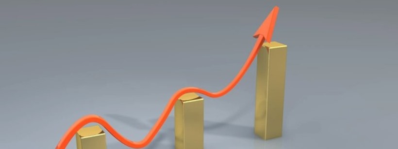 Бизнес, Менеджмент