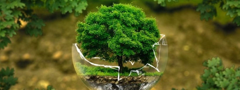 Природная среда