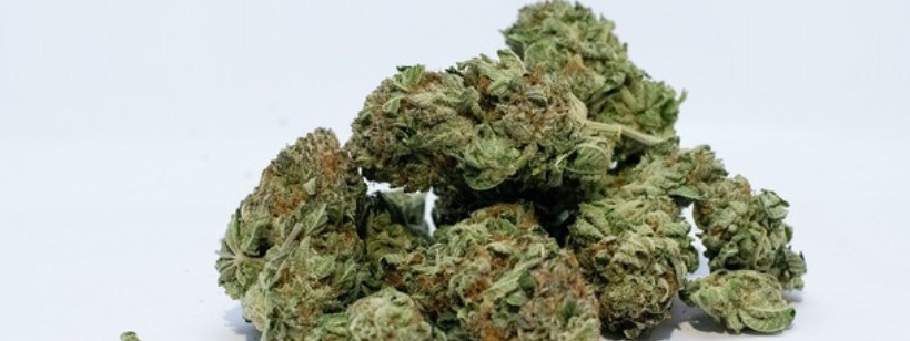 Медицинский каннабис