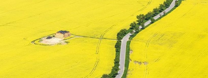 Поле, Статни Земедельский Интервенционный Фонд