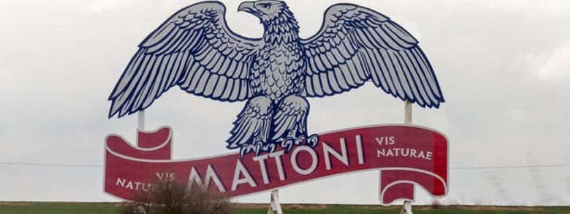 Музей Маттони