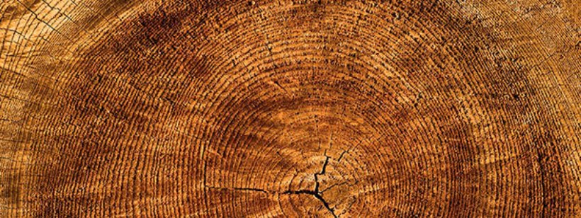 Стол, Дерево