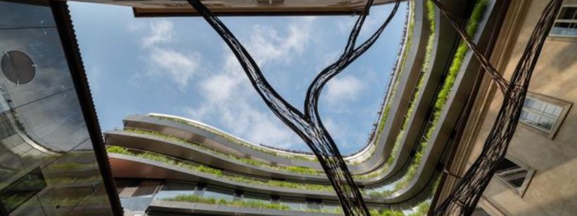 Народни, Дрн