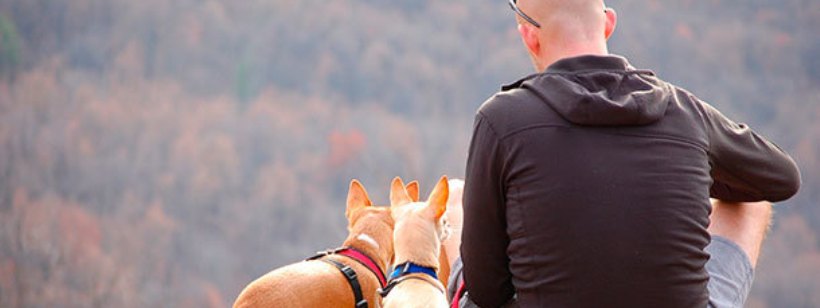 AfFORDable Pet Center, Inc.