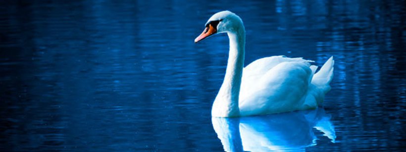 Версия короля Иакова