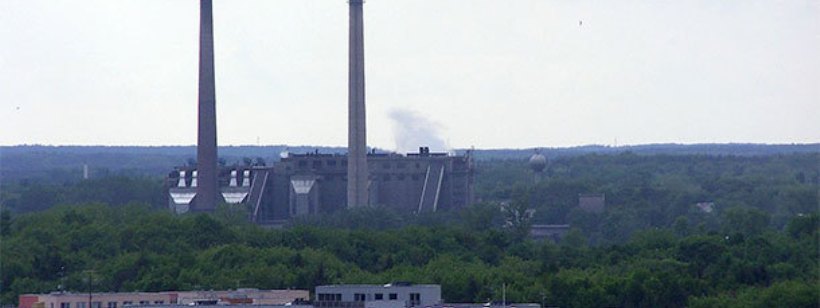 Замок, Дерево