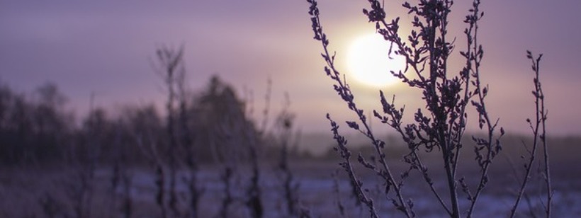 GC2 Press (BaptistWay Press)