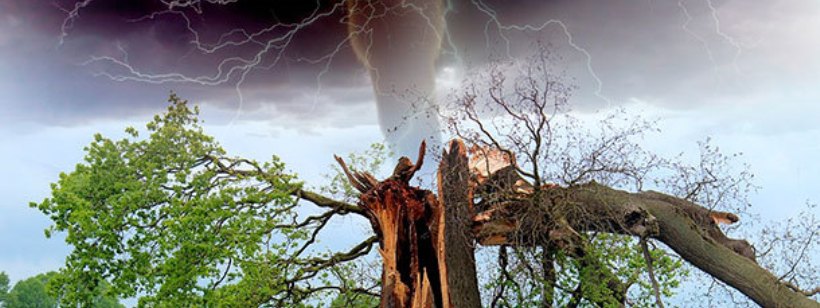 Гроза, Торнадо