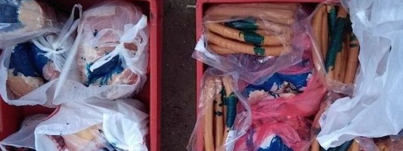 TN.cz, Южночешский край