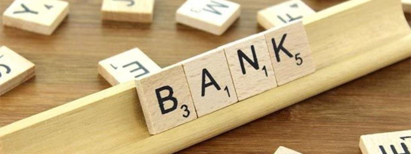 Поведение, Общение