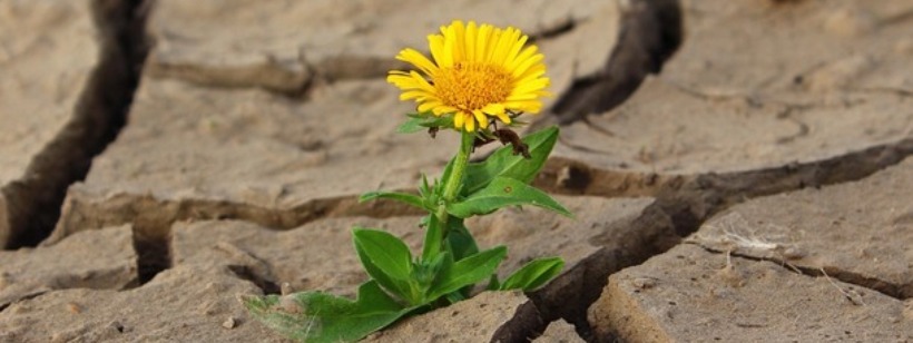 Приговор, Одиночество