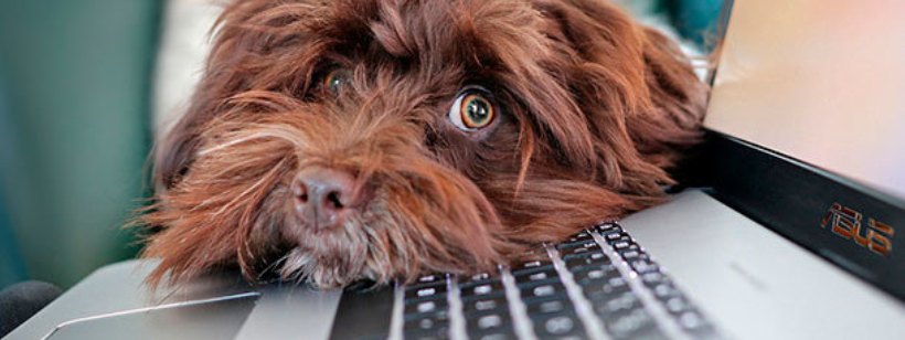 Ноутбук, Клавиатура компьютера