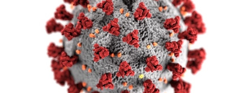 Коронавирусное заболевание 2019