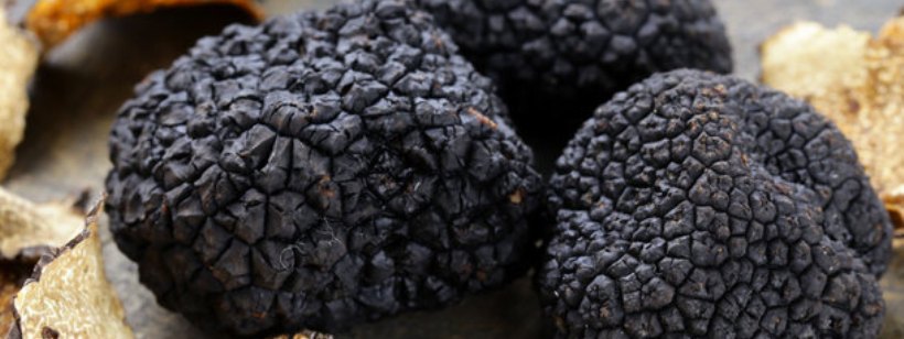 Трюфель, Ромовый шарик