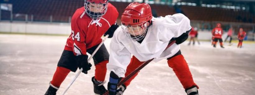 Хоккей, Хоккей