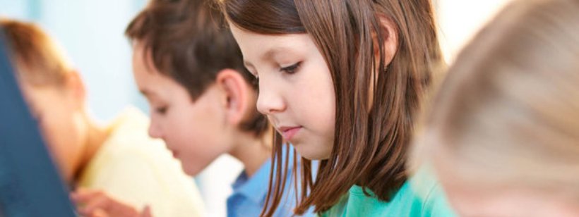 Студент, Школа