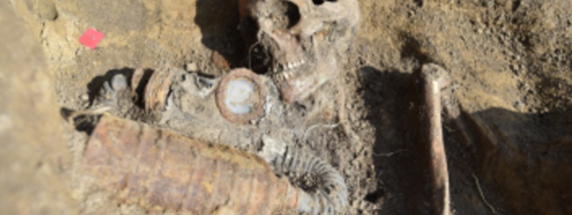 Брецлавский район