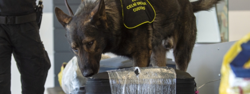 Аэропорт Пардубице