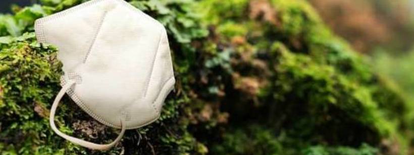 Петоски, Фотография