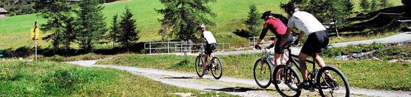 Велотуры в Чехии