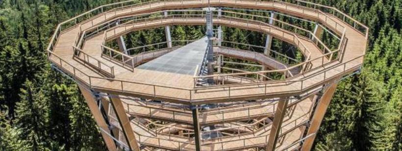 В Чехии построили искусственную дорогу выше деревьев